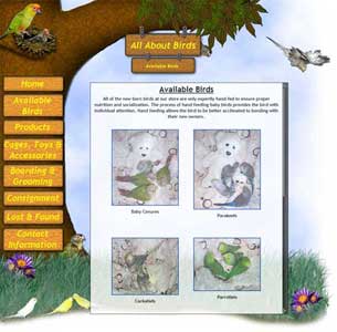 All About Birds Site Image