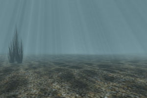 3D Render - Ocean Floor
